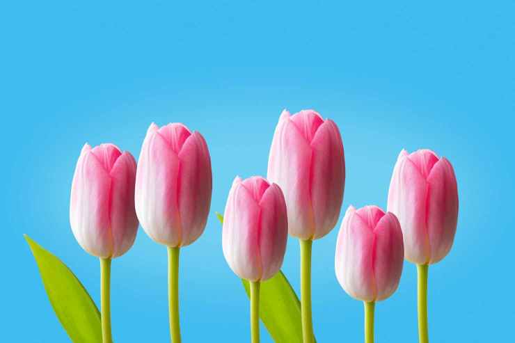 pexels-photo-3791612